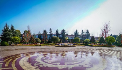 除了立碑还能选什么？带您了解成都公墓的多元化葬式