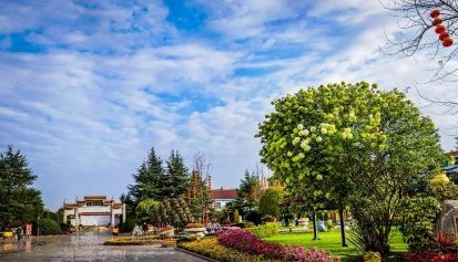 成都公墓哪家好？揭开公墓选址的秘密！