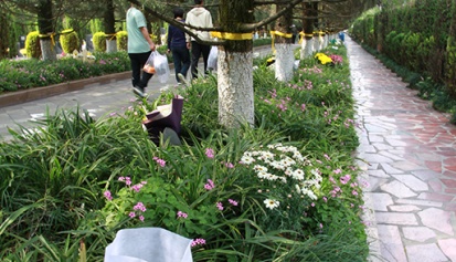 树葬公墓/生态安葬新趋势