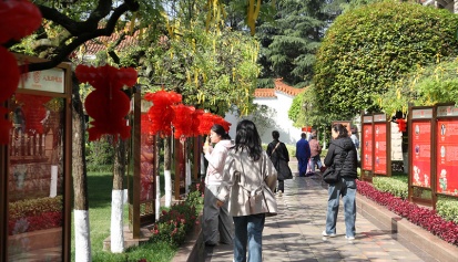 清明假日至 追思寄深情——大朗迎来祭扫高峰，文明新风伴哀思