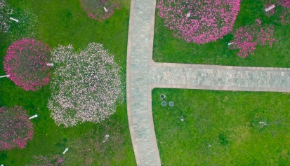 海棠花开福满园【视频欣赏】