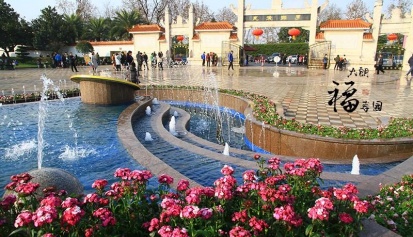 清明祭扫小贴士，错峰祭扫就靠它