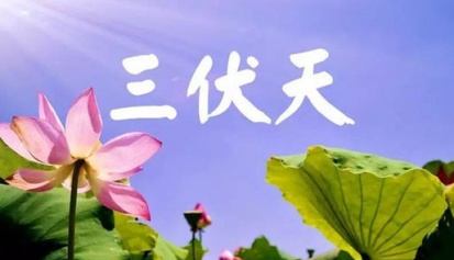 三伏天养生有道，冬病夏治好时节