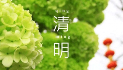 清明节丨祭扫踏青各纷然 清明习俗知多少！