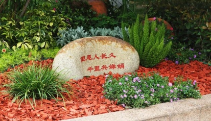 【大朗清明】祭扫踏青两相慰，满园春色尽芳菲！