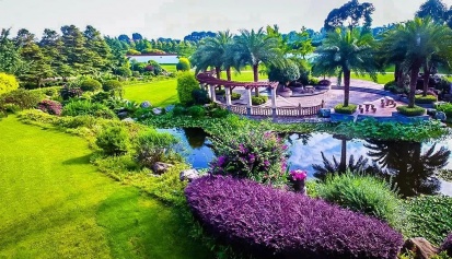 百善孝为先，论心不论迹！